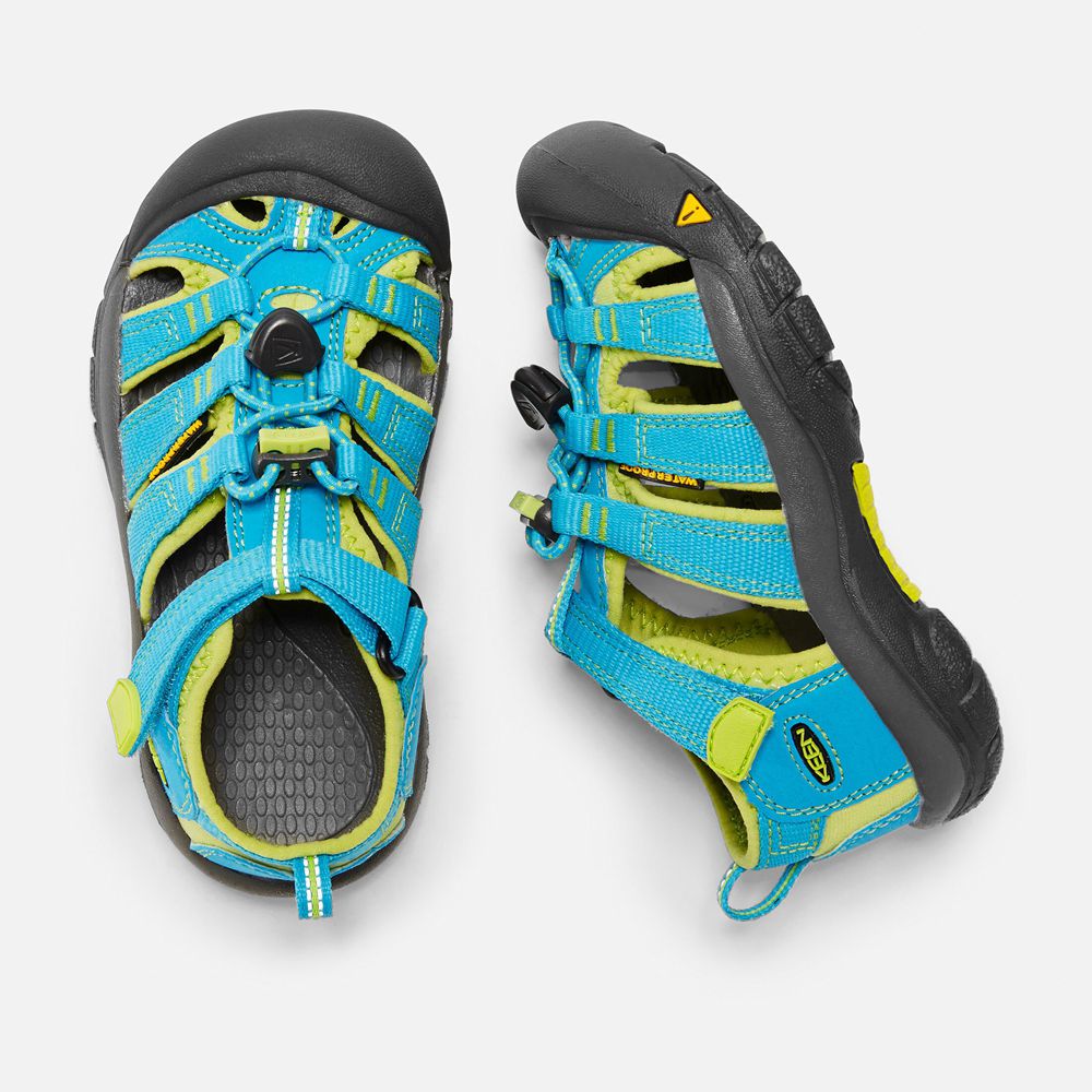 Keen Sandalet Çocuk Mavi/Yeşil - Newport H2 - Türkiye GZRY56784